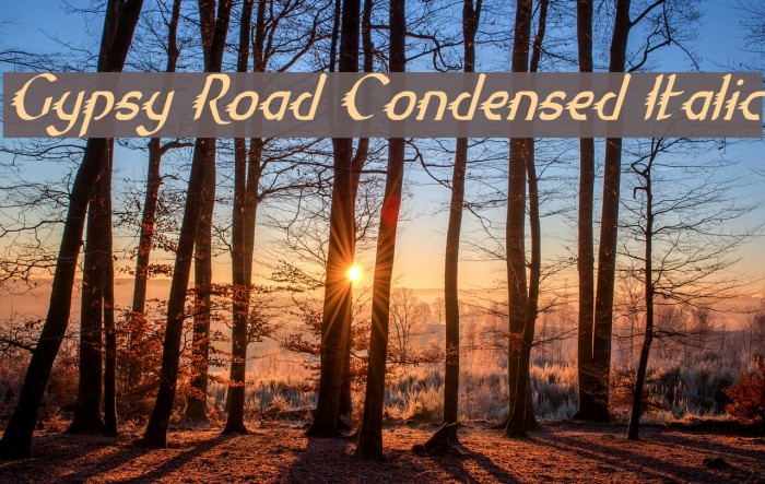 Gypsy Road Condensed Italic Шрифта examples