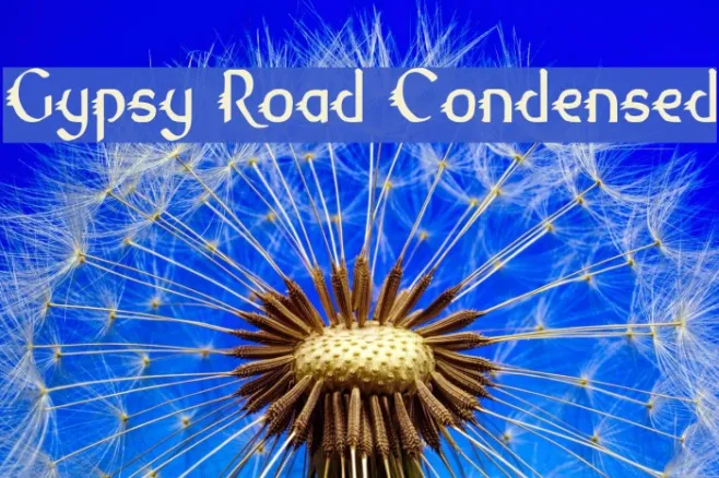 Gypsy Road Condensed Example 1