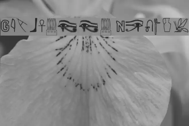 Gyptienne Normal Schriftart examples