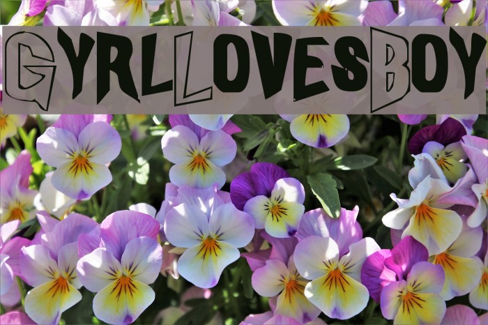 GyrlLovesBoy Font examples