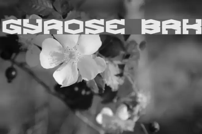 Gyrose BRK Font examples