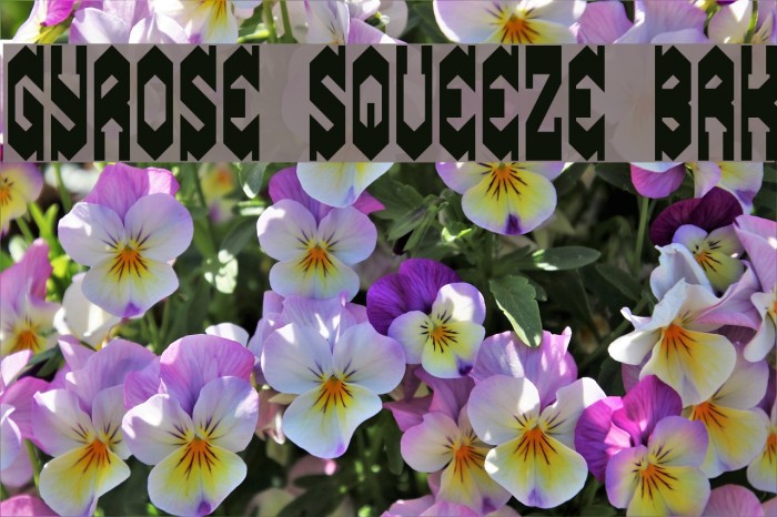 Gyrose Squeeze BRK Font examples