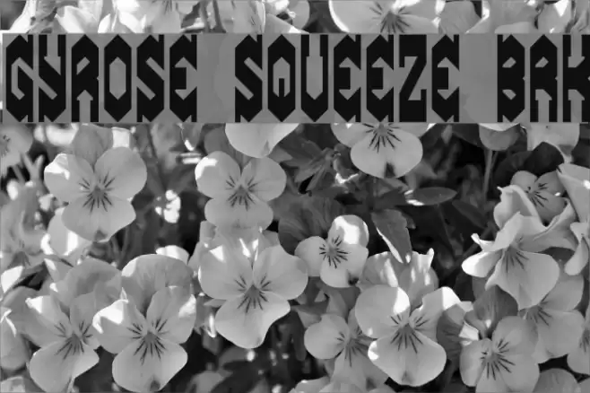 Gyrose Squeeze BRK Fuentes examples