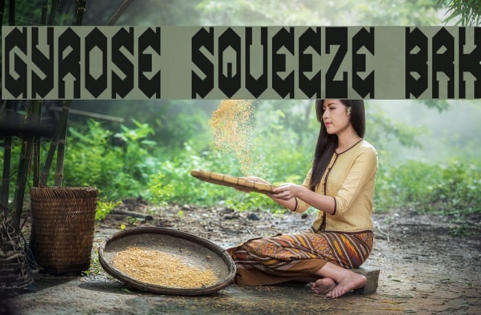 Gyrose Squeeze BRK Font examples