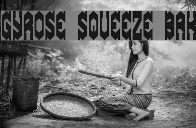 Gyrose Squeeze BRK Fuentes examples