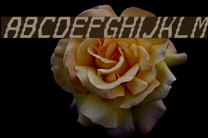 Gyrussian Font examples