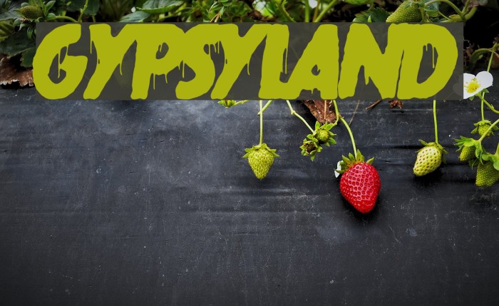 gypsyland フォント examples