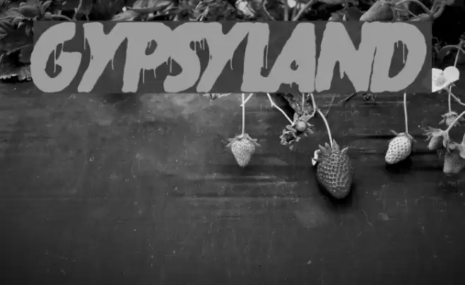 gypsyland Font examples