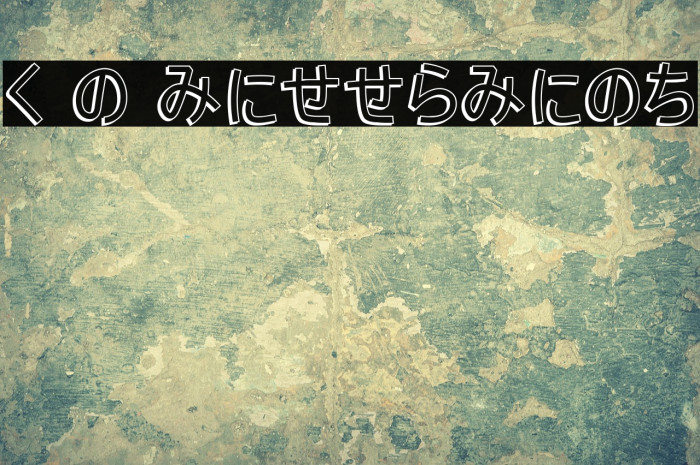 H K Nipponika Example 1