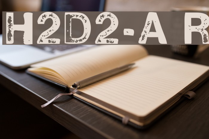 H2D2-Alevita Rough Font examples