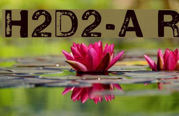 H2D2-Alevita Rough Font examples