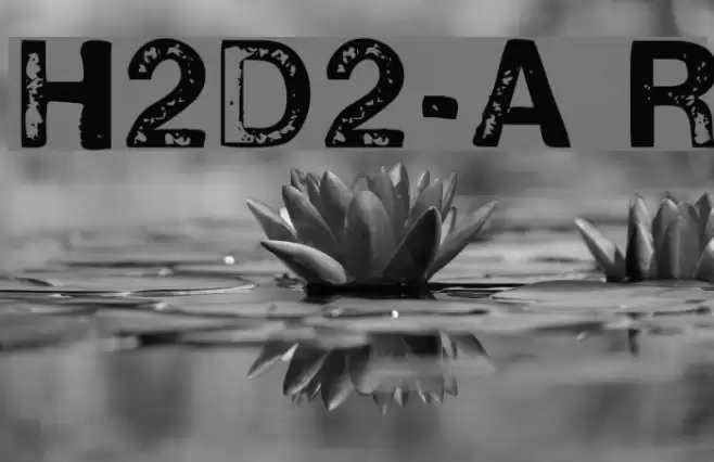 H2D2-Alevita Rough Fonte examples