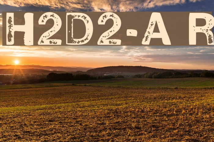 H2D2-Alevita Rough Font examples