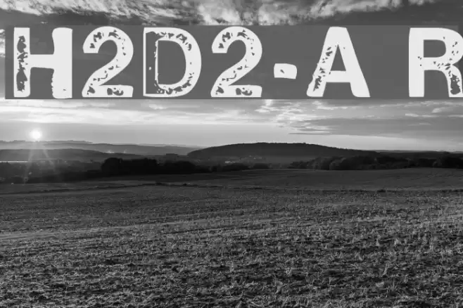 H2D2-Alevita Rough Fonte examples