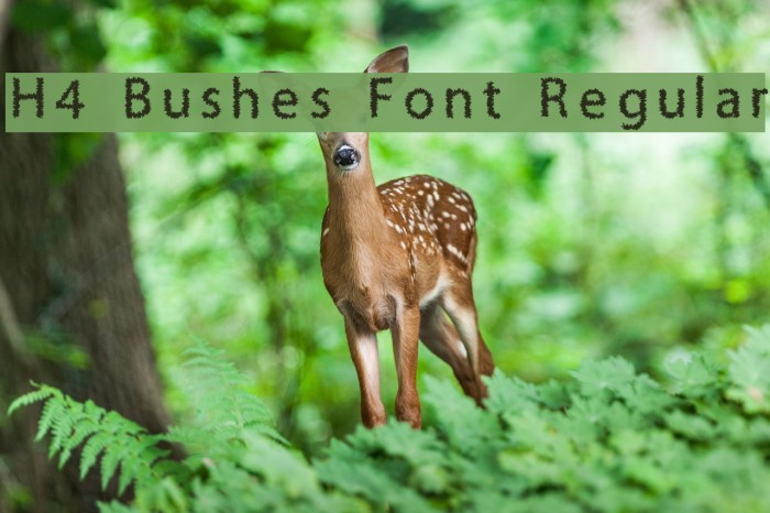 H4 Bushes Font Regular Font examples