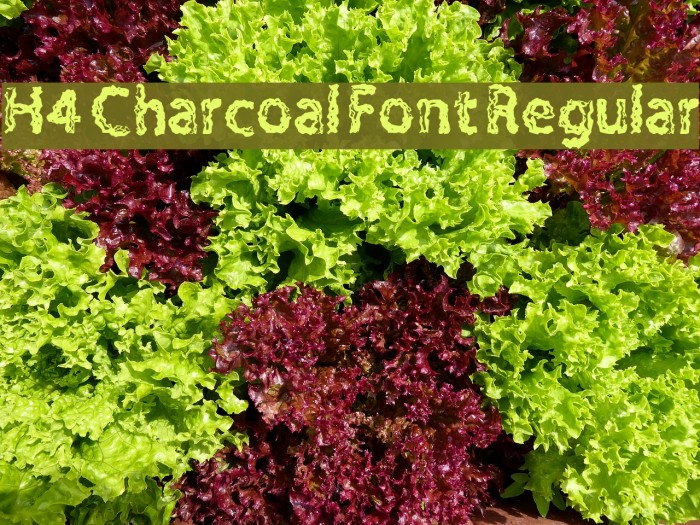 H4 Charcoal Font Regular Font examples