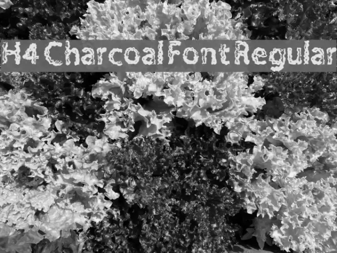 H4 Charcoal Font Regular Шрифта examples