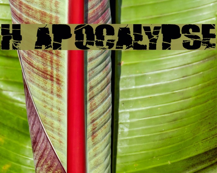 H74 Apocalypse Font examples