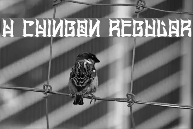 H74 Chingon Regular Font examples