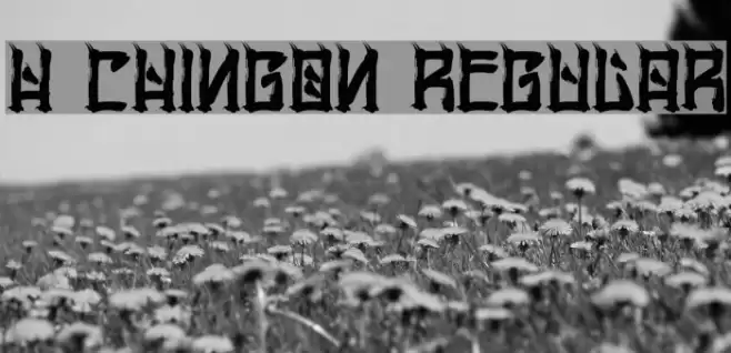 H74 Chingon Regular Font examples