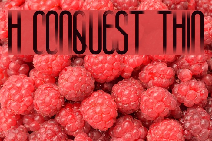 H74 Conquest Thin Font examples