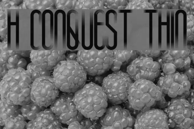 H74 Conquest Thin Шрифта examples