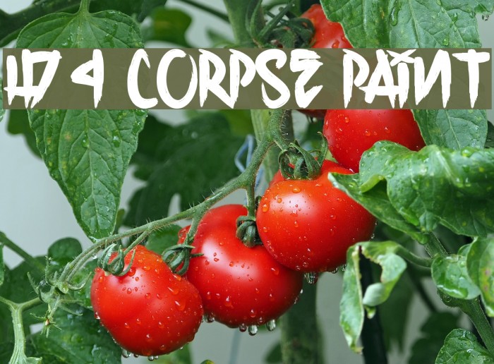 H74 Corpse Paint Font examples