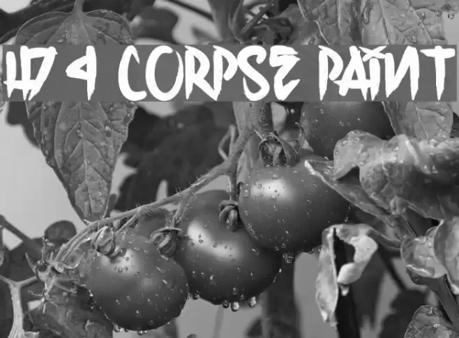 H74 Corpse Paint Шрифта examples