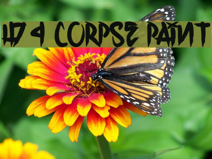 H74 Corpse Paint Font examples