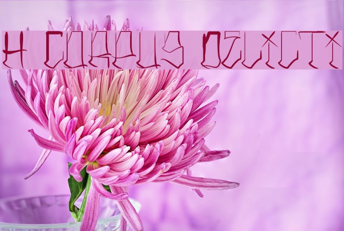 H74 Corpus Delicti Font examples