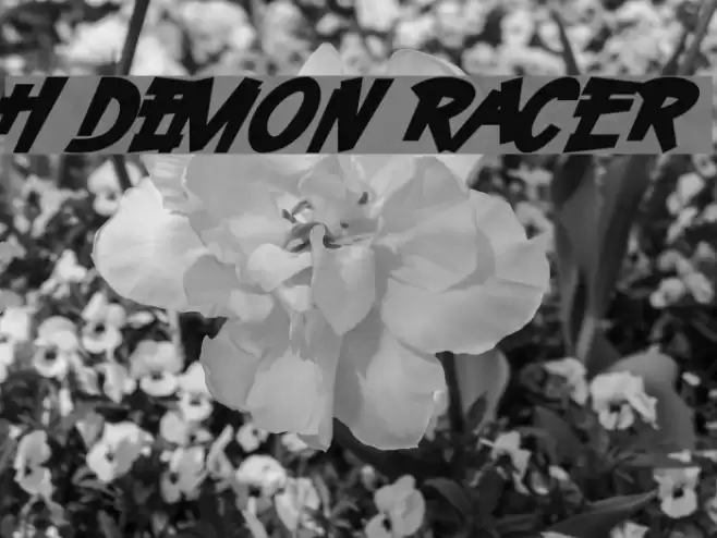 H74 Demon Racer Font examples