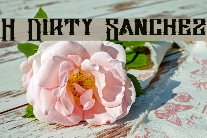H74 Dirty Sanchez Font examples