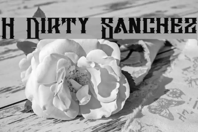 H74 Dirty Sanchez Шрифта examples