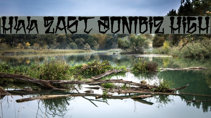 H74 East Zombie High Schriftart examples