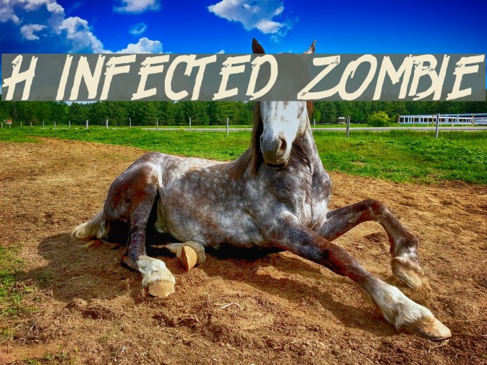 H74 Infected Zombie Schriftart examples