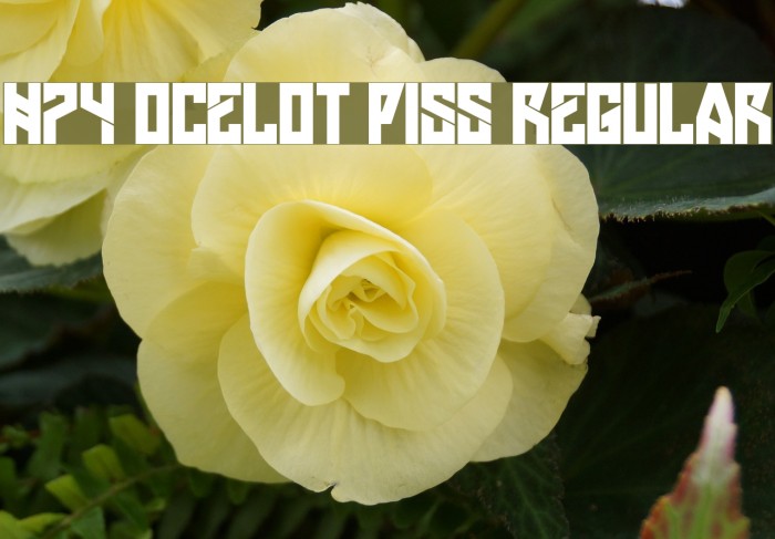 H74 Ocelot Piss Regular Fonte examples