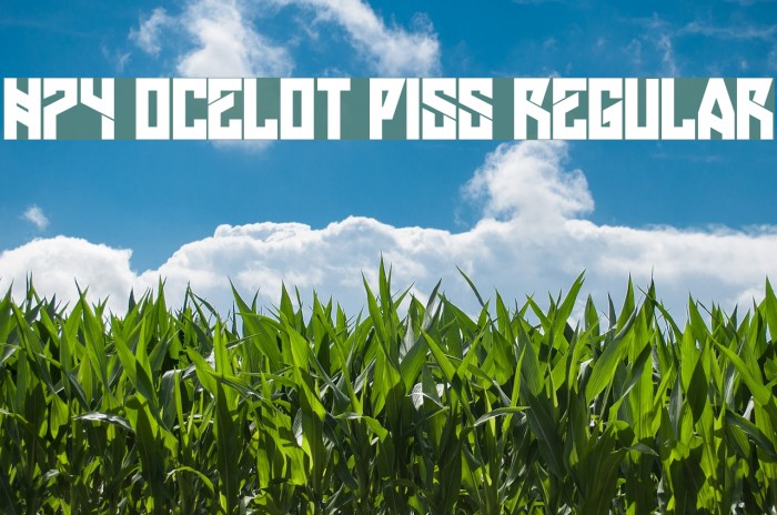 H74 Ocelot Piss Regular Fonte examples