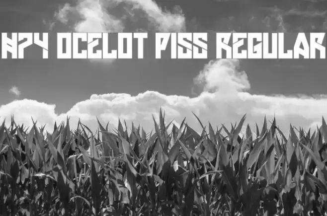 H74 Ocelot Piss Regular Fonte examples
