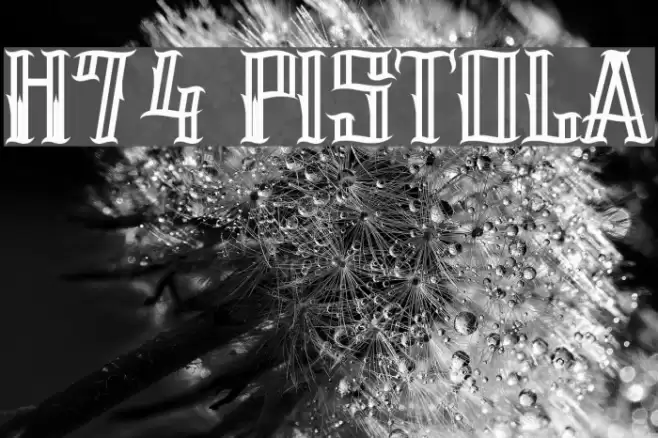 H74 Pistola Schriftart examples