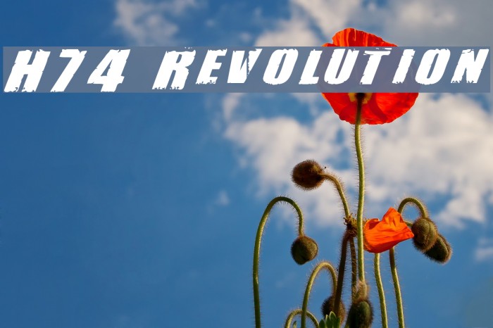 H74 Revolution Шрифта examples