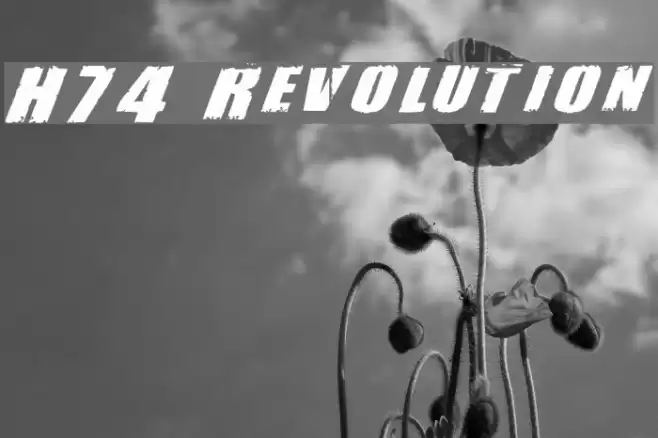 H74 Revolution Шрифта examples