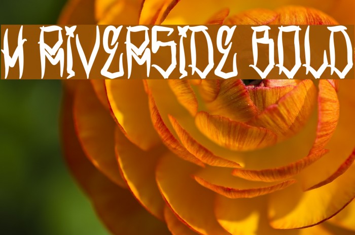 H74 Riverside Bold Font examples