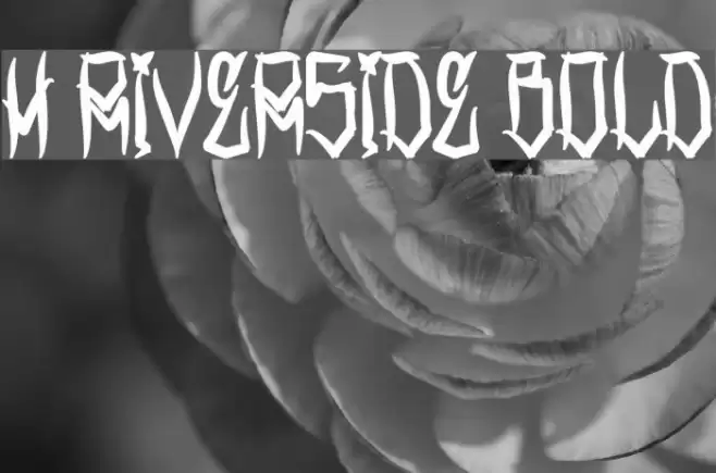 H74 Riverside Bold Шрифта examples