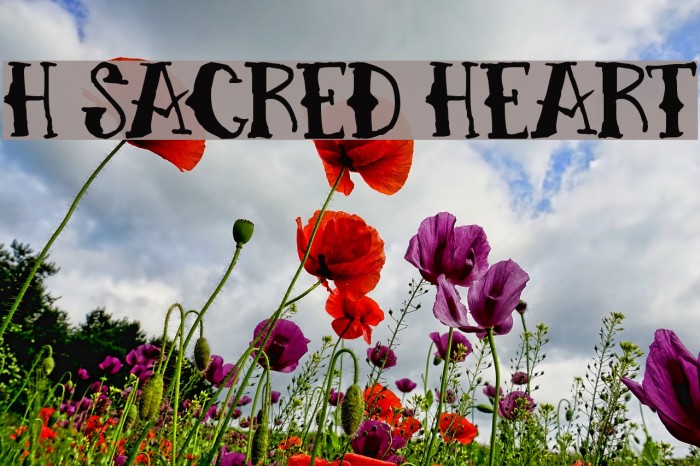 H74 Sacred Heart Font examples