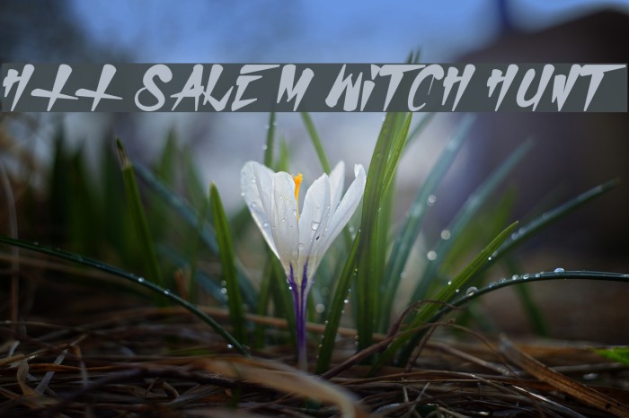 H74 Salem Witch Hunt Schriftart examples