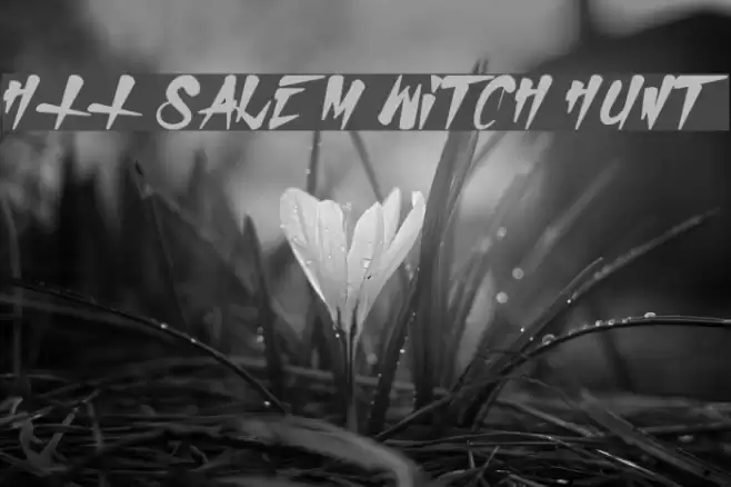 H74 Salem Witch Hunt Schriftart examples