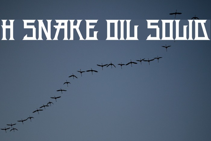 H74 Snake Oil Solid Font examples