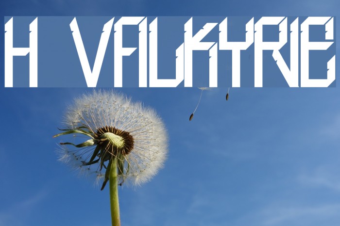 H74 Valkyrie Font examples