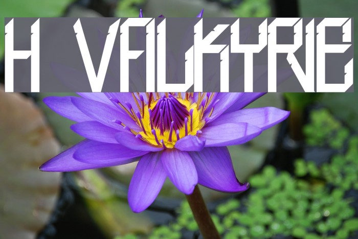 H74 Valkyrie Font examples