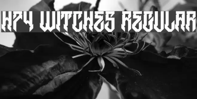 H74 Witches Regular Font examples